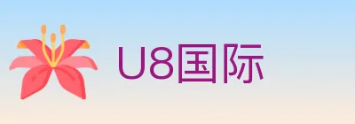 U8国际 logo